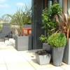 Living Under The Fascinating Rooftop Garden: Amazing Black Lounge Chair Equipped With Fresh Green Plants In The Pot Adorn Rooftop Garden Design