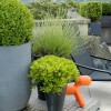 Living Under The Fascinating Rooftop Garden: Appealing Green Plants In The Pot Lies Near Modern Black Lounge Chair Embellish Rooftop Garden Design