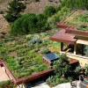 Growing The Green Area with Smart Ideas of Startling Rooftop Garden: Eco Friendly Home Ideas Embellished With Lovely Rooftop Garden