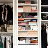 Delightful Modern Closet Ideas: Remarkable Walk In Closet Organization Ideas For Picturesque House